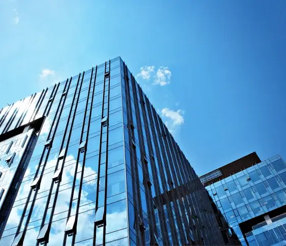 Helping progressive businesses build, evolve & scale since 2005
